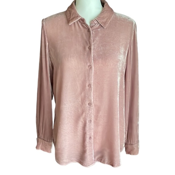 Pure Velvet Silk Blend Blouse 8/10 - Picture 10 of 10